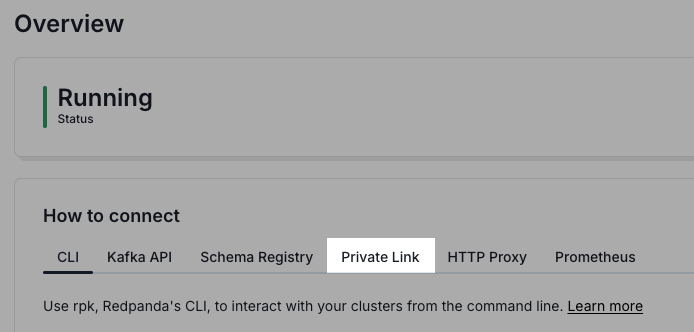 Private Link tab in Overview page